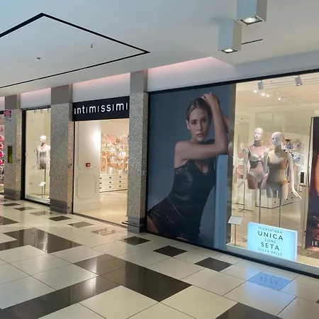 公寓 Luxury Boutique 菲乌米奇诺